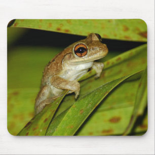 Lächelnder Baumfrosch Mousepad