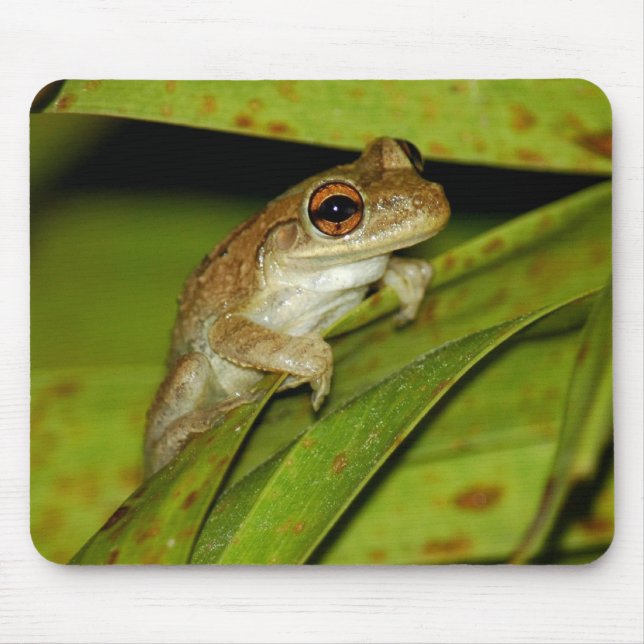 Lächelnder Baumfrosch Mousepad (Vorne)