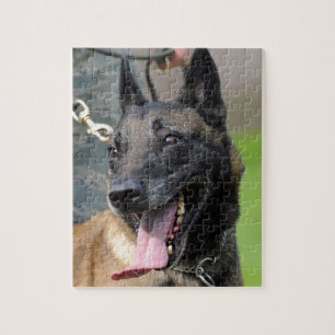 Lächelnder Belgier Malinois Hund Puzzle