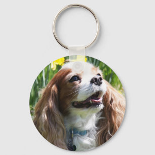 Lächelnder Blenheim Cavalier King Charles Spaniel Schlüsselanhänger
