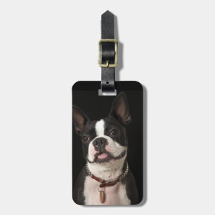 Lächelnder Boston-Terrier mit Kragen Gepäckanhänger
