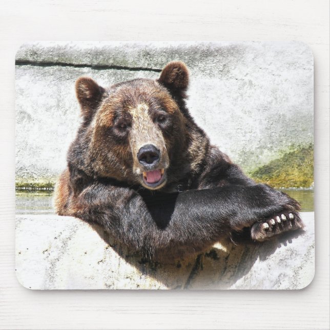 Lächelnder brauner Bär Mousepad (Vorne)