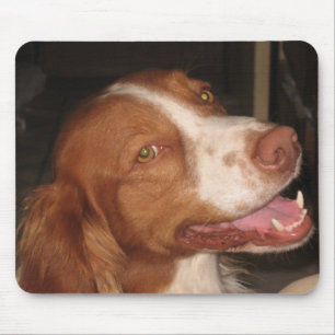 Lächelnder BretagneSpaniel Mousepad