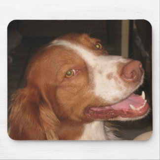 Lächelnder BretagneSpaniel Mousepad