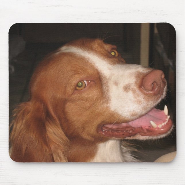 Lächelnder BretagneSpaniel Mousepad (Vorne)