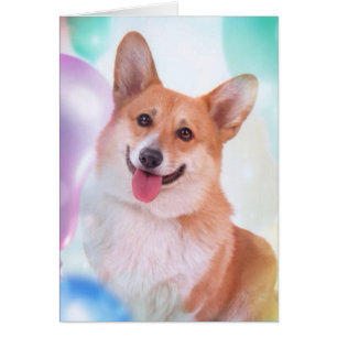 Lächelnder Corgi mit Ballonen