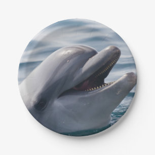Lächelnder Delfin in Nahaufnahme in hellem blauem Pappteller