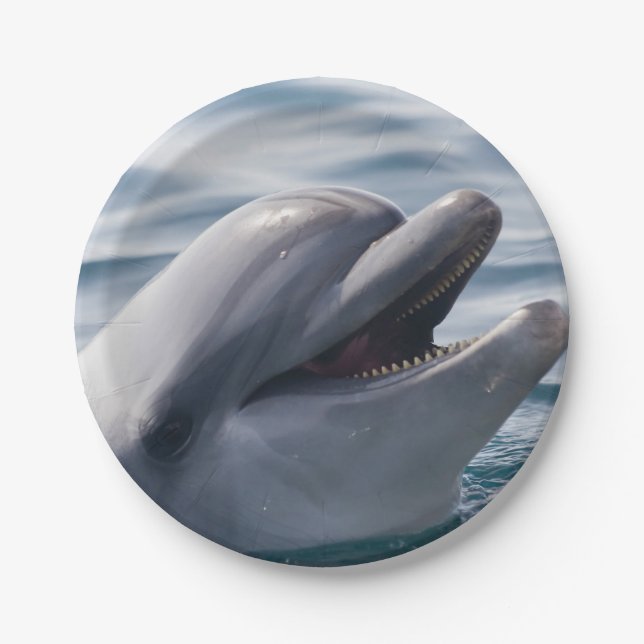 Lächelnder Delfin in Nahaufnahme in hellem blauem  Pappteller (Vorderseite)