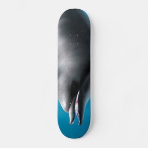 Lächelnder Delfin Skateboard