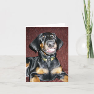 Lächelnder Dobermann Pinscher Welpe - Leere Karte