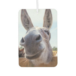 lächelnder Donkey Autolufterfrischer