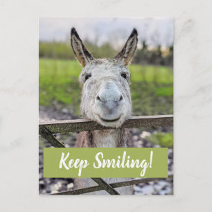 Lächelnder Donkey "Behalt Lächeln" Postkarte