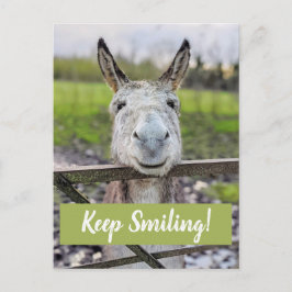 Lächelnder Donkey "Behalt Lächeln" Postkarte