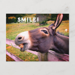 Lächelnder Esel Benutzerdefinierter Text Lustiges  Postkarte