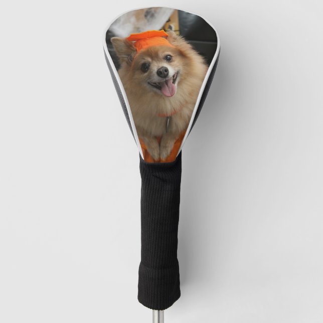 Lächelnder Foxy Spitz-Welpe im Kürbis Halloween Golf Headcover (Vorderseite)