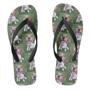 Lächelnder glücklicher Gesichts-Beagle-Welpe Flip Flops