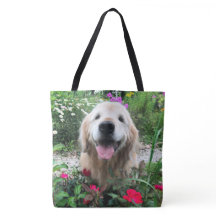 Lächelnder Golden Retriever Hund unter Blume