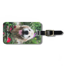 Lächelnder Golden Retriever Hund unter Blume