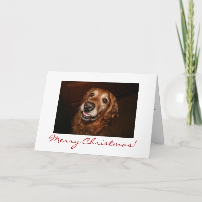 Lächelnder Hund Frohe Weihnachten (Vorderseite)