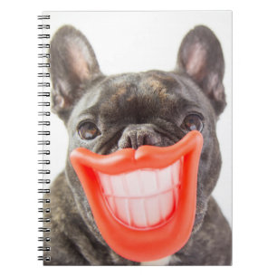 Lächelnder Hund Getty Bild- A Notizblock