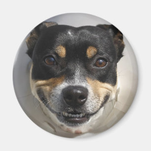 Lächelnder Hund Magnet