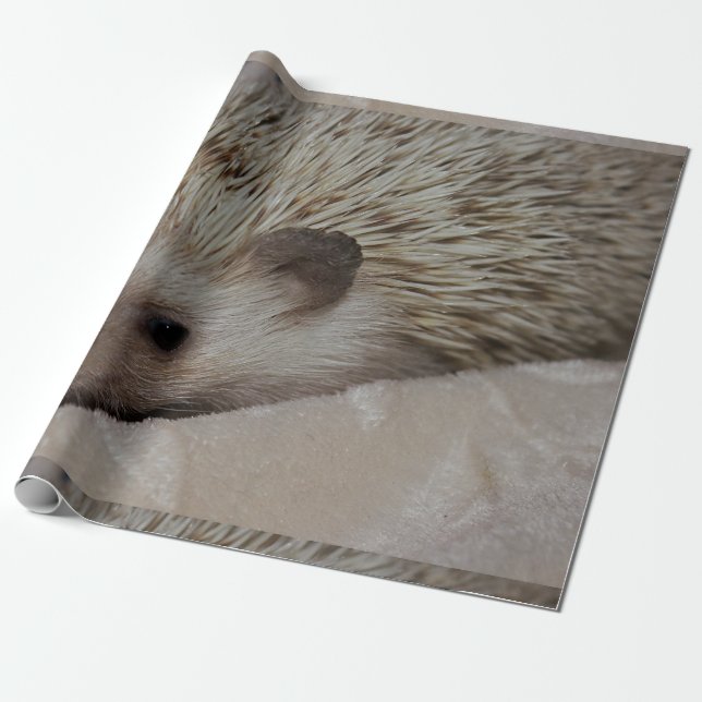 Lächelnder Igel Geschenkpapier (Ungerollt)