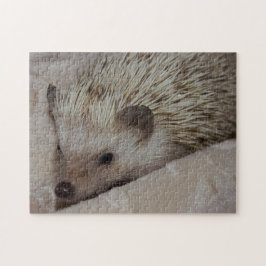 Lächelnder Igel Puzzle