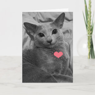 Lächelnder Katzen-Valentinstag Karte