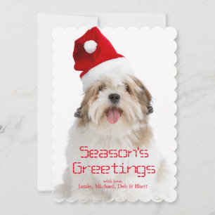 Lächelnder Lhasa Apso Hund mit Weihnachtsmannmütze Feiertagskarte