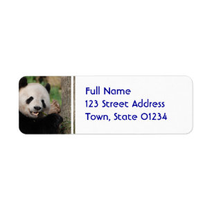 Lächelnder Panda-Bär