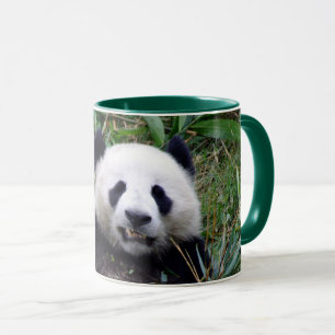 Lächelnder Panda-Bär, der ein leckeres Bambus-Mi Tasse