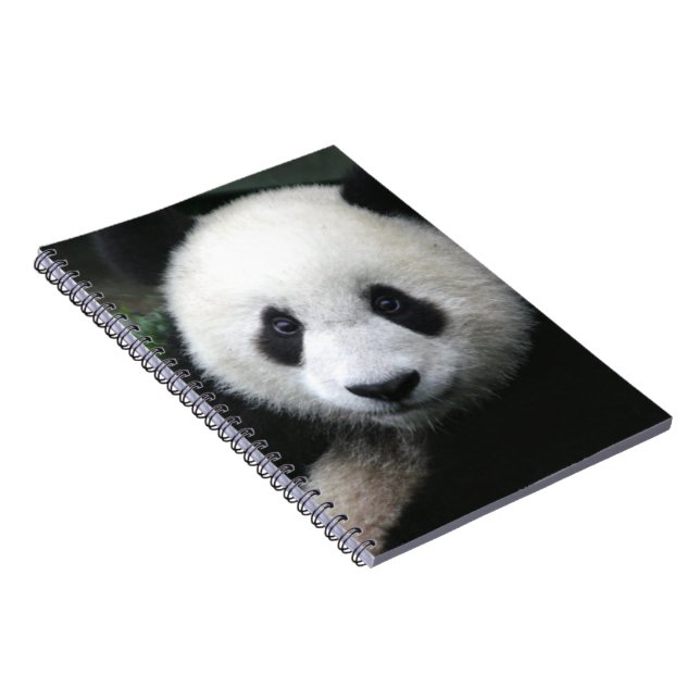 Lächelnder Panda-Bär Notizblock (Rechte Seite)