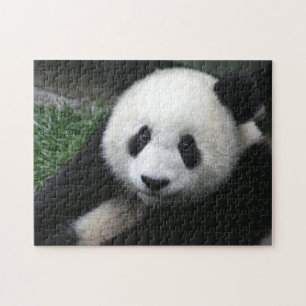 Lächelnder Panda-Bär Puzzle