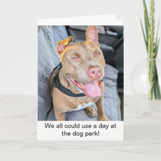 Lächelnder Pit Bull - Entspann dich Karte