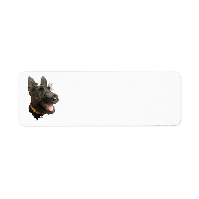 Lächelnder Scottish Terrier (Vorne)