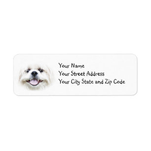 Lächelnder Shih Tzu