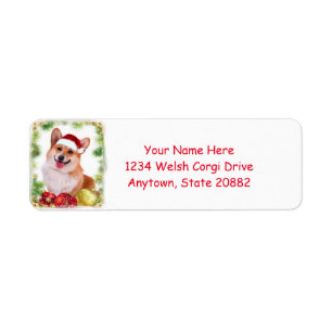 Lächelnder WaliserCorgi mit Weihnachtsmannmütze