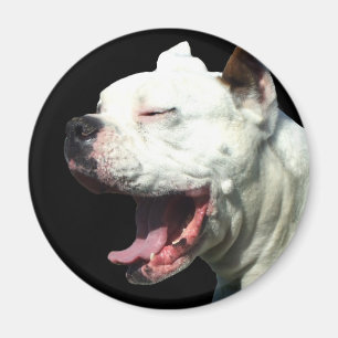 Lächelnder weißer Boxerhundemagnet Magnet