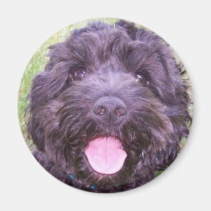 Lächelnder Welpe Magnet