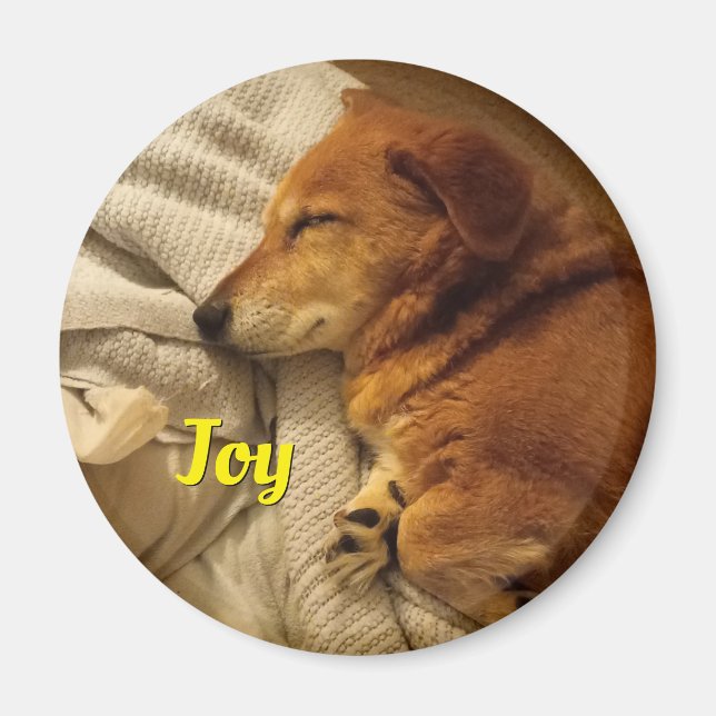 Lächelndes Dog Magnet (Vorne)