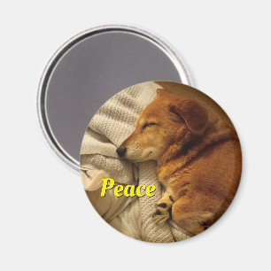 Lächelndes Dog Magnet