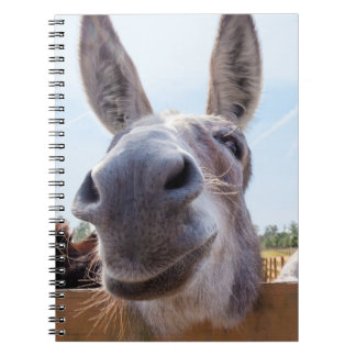 Lächelndes Donkey-Notebook Notizblock
