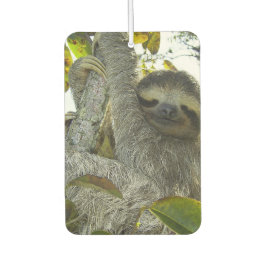 Lächelndes Faulenzerhitz, Smaragdsee Autolufterfrischer