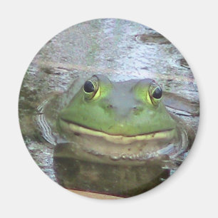 Lächelndes Froschgesicht Magnet