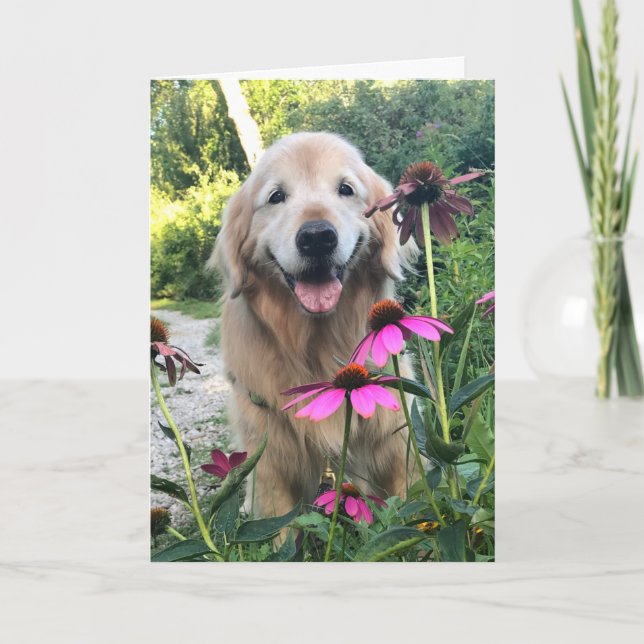 Lächelndes goldenes Retriever unter rosa Blume bla Karte (Vorderseite)