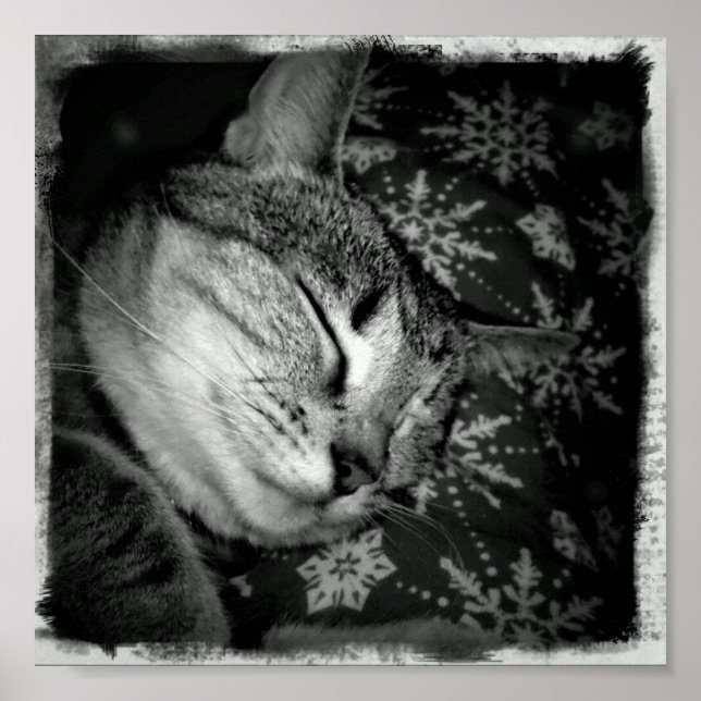 Lächelndes Indiz B+W Poster (Vorne)