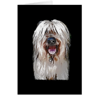 Lächelndes Kitz Briard