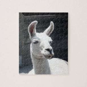 Lächelndes Lama-Puzzlespiel Puzzle
