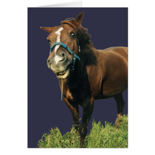 Lächelndes Pferd (Vorne)