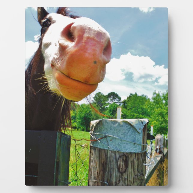 Lächelndes Pferd Fotoplatte (Vorderseite)